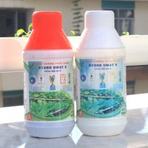 dung-dich-dinh-duong-thuy-canh-danh-cho-rau-an-la-Hydro-Umat-V