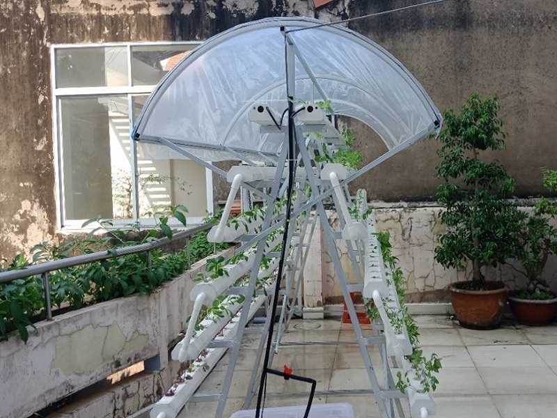 cách làm giàn trồng rau thủy canh