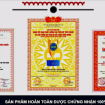 Chứng nhận dinh dưỡng thủy canh Hydro Umat