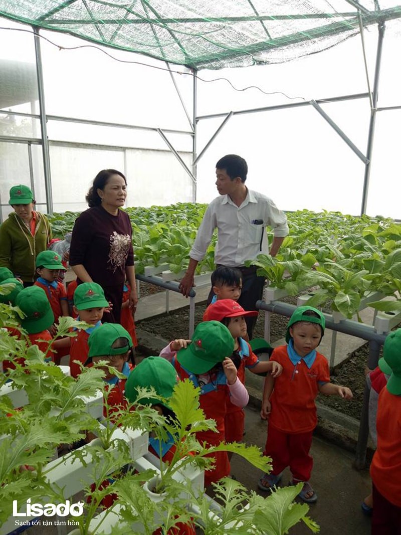 Trẻ em yeu thích mô hình thủy canh